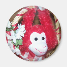 more monkey love refrigerator magnets