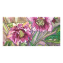 More pink hellebores photo cards
