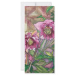 More pink hellebores rack cards