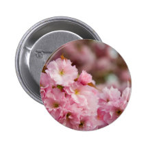 More Sakura Blossoms Button