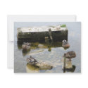 More Sleeping Ducks invitations
