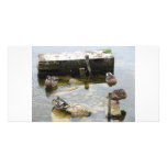 More Sleeping Ducks photo cards