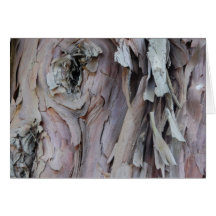 More Texture Cards