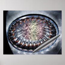 MORE THAN MEETS THE EYE. PRINT