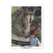 More Waiting Grooms: Horse By Mantegna Andrea Post Card