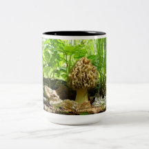 Morel Mushroom - Gem of the Forest Coffee Mugs