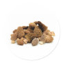 Morel Mushroom Round Sticker