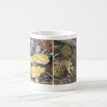 Morels and Chantrelle mushrooms Mugs