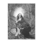 Morgan Le Fay Postcard