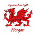 Morgan Welsh Dragon t-shirts