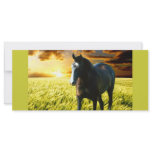 MORISCO AT SUNSET Rack Card rack cards