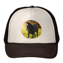 MORISCO AT SUNSET TRUCKER HAT