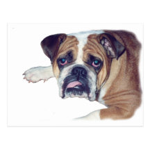 Morning after bulldog postcards