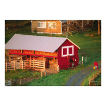 Morning chores on the farm. USA, Vermont,