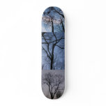 morning day and night skateboards