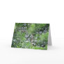 Morning Dew Card