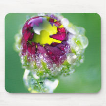 Morning dew drop mousepad