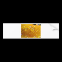 Morning Dew Droplets bumper stickers
