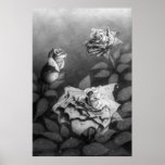 Morning Dew Poster