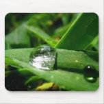 Morning dew water bubble #2 mouse pads