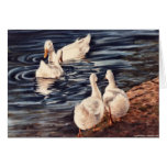 Morning Dip Card - 5 x7