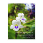 morning dreams post card