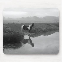 Morning Drink mousepads