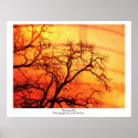 Morning Fire posters