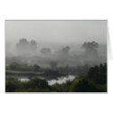 Morning Fog cards