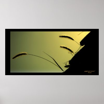 Morning Glimmers/ Poster by riverme