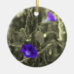 Morning Glories Black White Flower Ornament