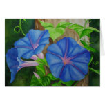Morning Glories cards