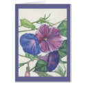 morning glories cards