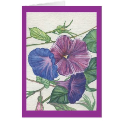morning glories cards by redqueenself