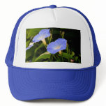Morning Glories hats