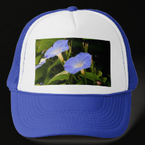 Morning Glories hats