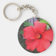 morning glories keychains