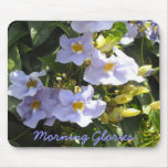 Morning Glories mousepads