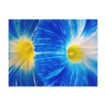 morning glories post card