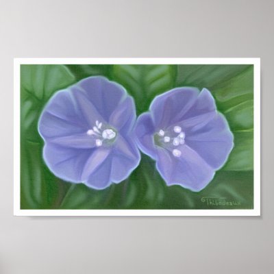 Morning Glories Posters by artpals