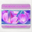 Morning Glories Upon Blue Sunset mousepads