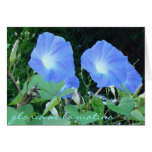 Morning Glories watercolor-style cards