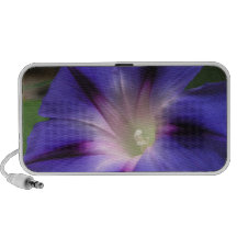 Morning Glory 2 Doodle Speaker