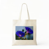 Morning Glory and meaning Bags