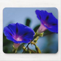 Morning Glory and meaning Mousepad