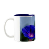 Morning Glory and meaning Mug