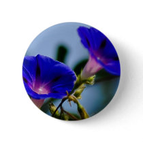 Morning Glory and meaning Pin