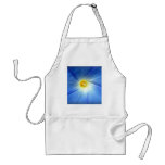 Morning Glory aprons