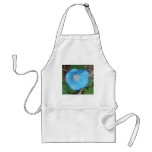 Morning Glory Aprons