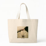 Morning Glory bags